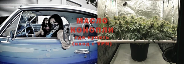 мяу мяу мука Бородино
