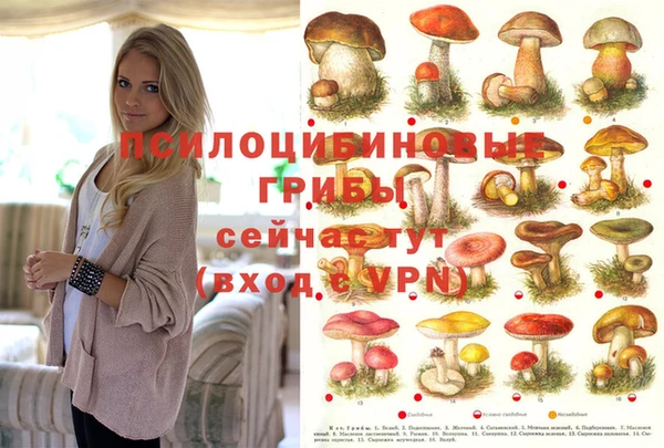 jwh Покачи