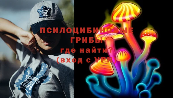 мяу мяу мука Бородино